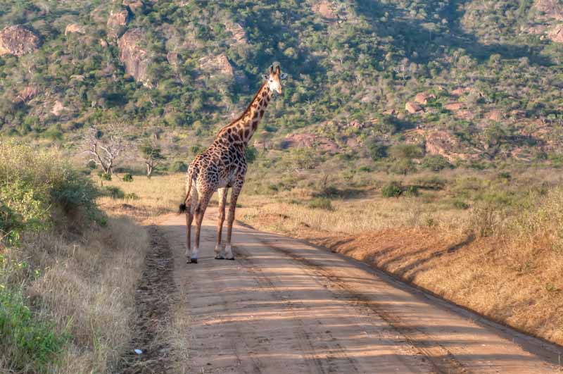 kenya_2012_KEN_1399_hdr